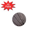 Sea Fan Coral Intricate Patterns 1  Mini Buttons (10 pack)  Front