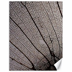 Sea Fan Coral Intricate Patterns Canvas 18  X 24   by Amaryn4rt