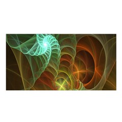 Art Shell Spirals Texture Satin Shawl by Simbadda