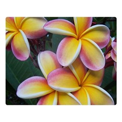 Premier Mix Flower Double Sided Flano Blanket (large)  by alohaA