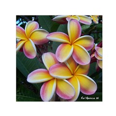 Premier Mix Flower Small Satin Scarf (square) by alohaA