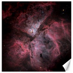 Carina Peach 4553 Canvas 16  X 16   by SpaceShop