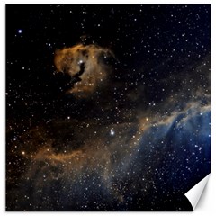 Seagull Nebula Canvas 12  X 12   by SpaceShop