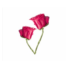 Red Roses Photo Double Sided Flano Blanket (small)  by dflcprints