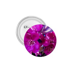 Pretty In Fuchsia 1 75  Buttons by dawnsiegler