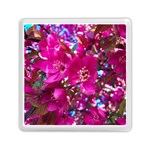 Pretty In Fuchsia 2 Memory Card Reader (Square)  Front