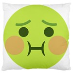 Barf Standard Flano Cushion Case (Two Sides) Front