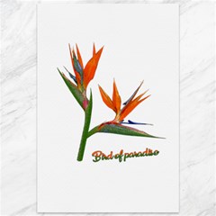 Bird Of Paradise Canvas 12  X 18   by Valentinaart