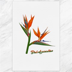 Bird Of Paradise Canvas 20  X 30   by Valentinaart