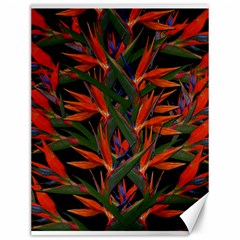 Bird Of Paradise Canvas 12  X 16   by Valentinaart