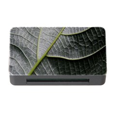Leaf Detail Macro Of A Leaf Memory Card Reader With Cf by Nexatart