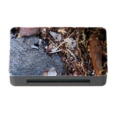 Transition Memory Card Reader With Cf by oddzodd