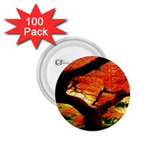 Maple Tree Nice 1 75  Buttons (100 Pack)  by BangZart
