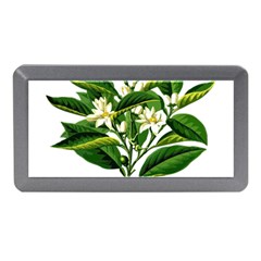 Bitter Branch Citrus Edible Floral Memory Card Reader (mini) by Nexatart
