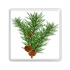 Branch Floral Green Nature Pine Memory Card Reader (square)  by Nexatart