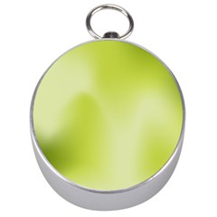 Green Soft Springtime Gradient Silver Compasses by designworld65