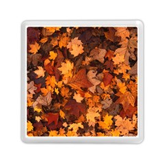 Fall Foliage Autumn Leaves October Memory Card Reader (square)  by Nexatart