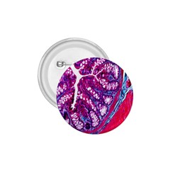 Histology Inc Histo Logistics Incorporated Masson s Trichrome Three Colour Staining 1 75  Buttons by Mariart