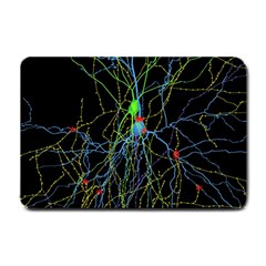 Synaptic Connections Between Pyramida Neurons And Gabaergic Interneurons Were Labeled Biotin During Small Doormat  by Mariart