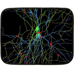 Synaptic Connections Between Pyramida Neurons And Gabaergic Interneurons Were Labeled Biotin During Fleece Blanket (mini) by Mariart