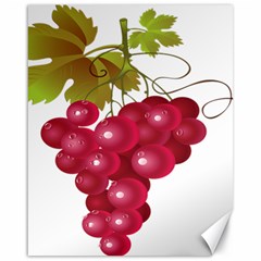 Red Fruit Grape Canvas 16  X 20   by Mariart