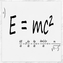 E=mc2 Formula Physics Relativity Canvas 20  X 20   by picsaspassion
