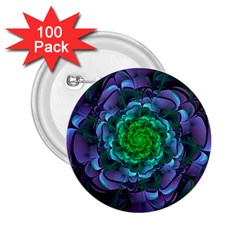 Beautiful Purple & Green Aeonium Arboreum Zwartkop 2 25  Buttons (100 Pack)  by jayaprime