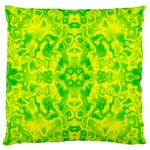 Pattern Large Flano Cushion Case (Two Sides) Back