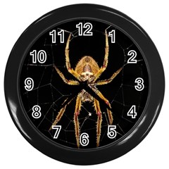 Insect Macro Spider Colombia Wall Clocks (black) by BangZart