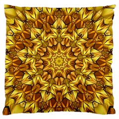 Abstract Antique Art Background Large Flano Cushion Case (two Sides) by Celenk