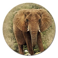 Elephant Animal Art Abstract Magnet 5  (round) by Celenk