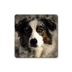 Dog Pet Art Abstract Vintage Square Magnet by Celenk