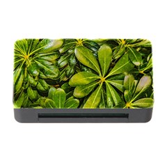 Top View Leaves Memory Card Reader With Cf by dflcprints