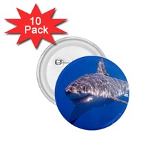 Great White Shark 5 1 75  Buttons (10 Pack) by trendistuff
