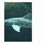 LEOPARD SHARK Large Garden Flag (Two Sides) Front