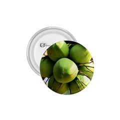 Coconuts 1 1 75  Buttons by trendistuff