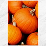 PUMPKINS 1 Canvas 20  x 30   19.62 x28.9  Canvas - 1