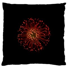 Red Flower Blooming In The Dark Standard Flano Cushion Case (one Side) by Sapixe