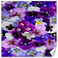 Graphic Background Pansy Easter Canvas 12  X 12   by Sapixe