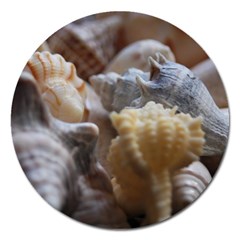 Seashells Magnet 5  (round) by StarvingArtisan