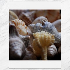 Seashells Canvas 18  X 24   by StarvingArtisan