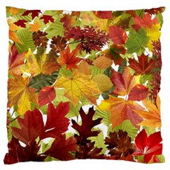 Autumn Fall Leaves Large Flano Cushion Case (one Side) by LoolyElzayat