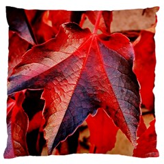 Wine Partner Wild Vine Leaves Plant Large Flano Cushion Case (one Side) by Sapixe