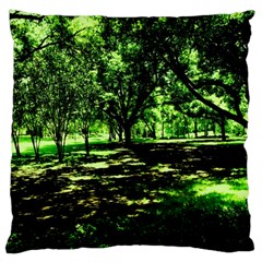 Hot Day In Dallas 26 Large Flano Cushion Case (two Sides) by bestdesignintheworld