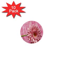 Background Texture Flower Petals 1  Mini Buttons (10 Pack)  by Sapixe