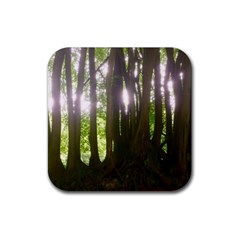 Tree Of Trees Rubber Coaster (square)  by DeneWestUK