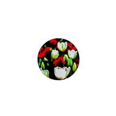 White And Red Sunlit Tulips 1  Mini Buttons by FunnyCow