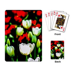 White And Red Sunlit Tulips Playing Card by FunnyCow