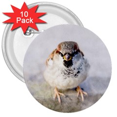 Do Not Mess With Sparrows 3  Buttons (10 Pack)  by FunnyCow