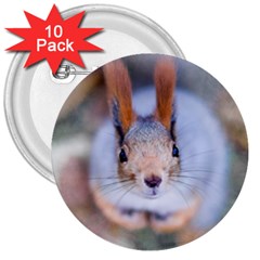 Squirrel Looks At You 3  Buttons (10 Pack)  by FunnyCow
